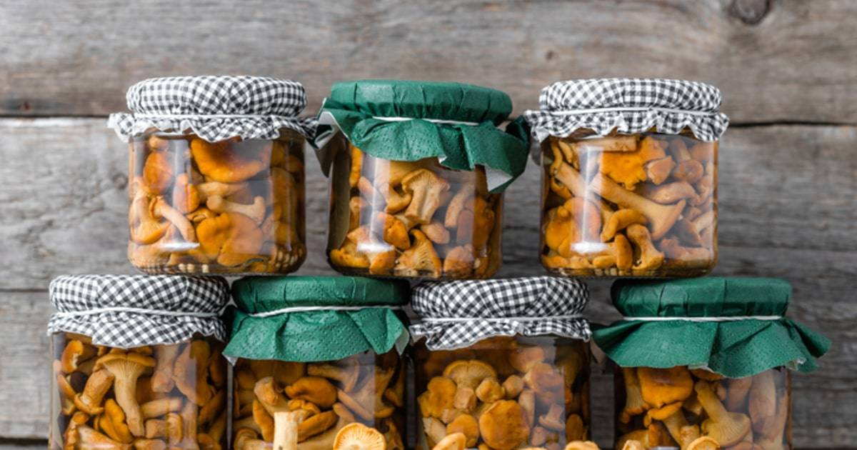 Можно ли сушить лисички на зиму: 7 простых способов заготовить грибы