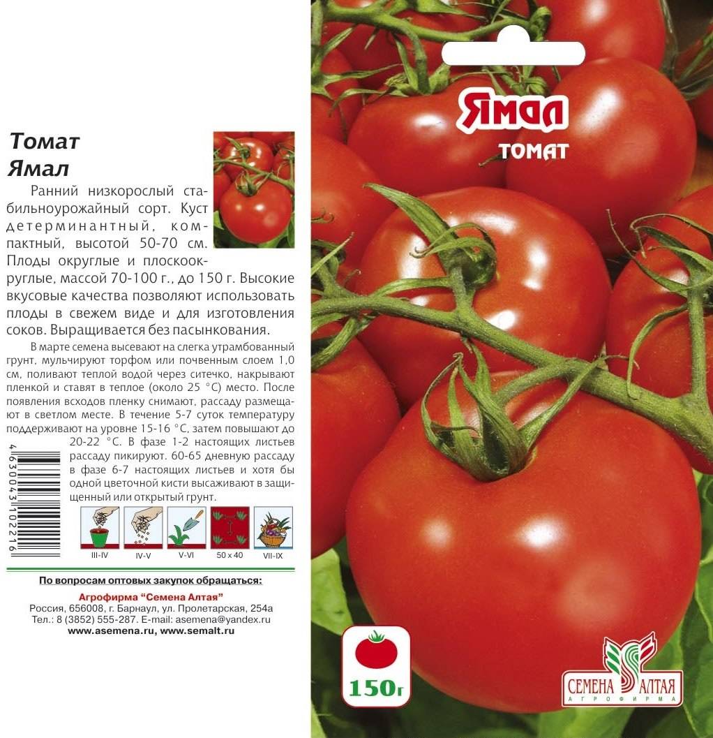 Сорта урожайных томатов закрытого грунта сезона 2020 года