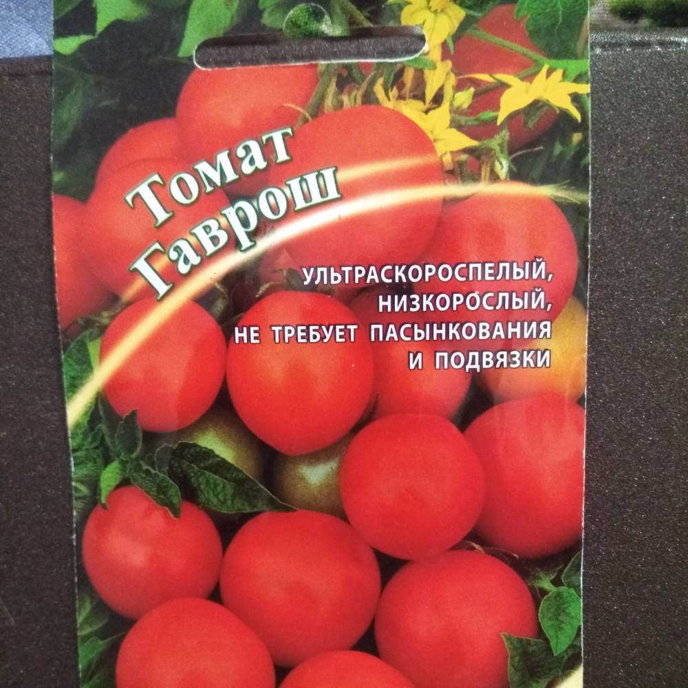 Томат гаврош: характеристика и описание сорта, урожайность с фото