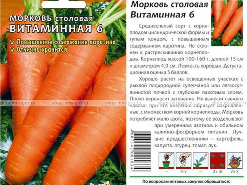 57 лучших сортов моркови с названиями и фото