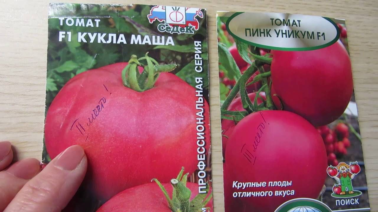 Томат "кукла" f1: описание и характеристики сорта, рекомендации по выращиванию и получению хорошего урожая помидор