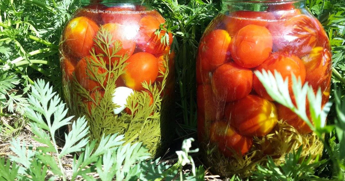 Помидоры с морковной ботвой на зиму: рецепты, как солить, мариновать, консервировать