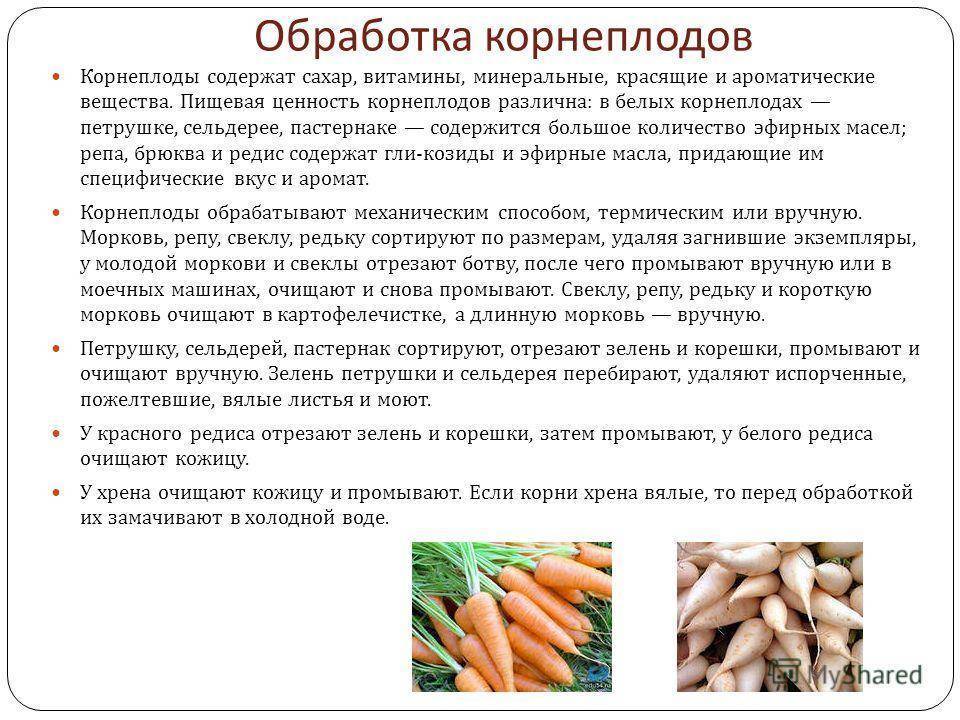 Советы дачникам: как и когда убирать морковь с грядки на хранение?
