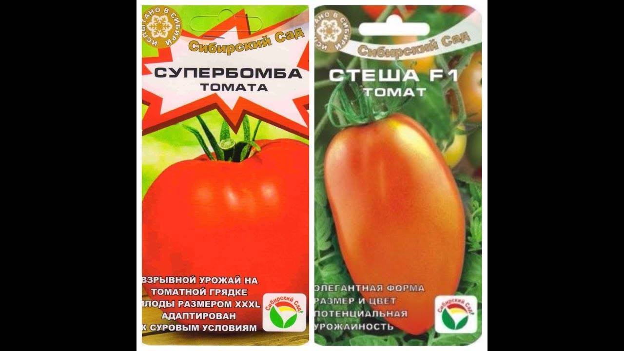 Отличная урожайность и вкус — томат властелин степей f1: описание сорта и его характеристики