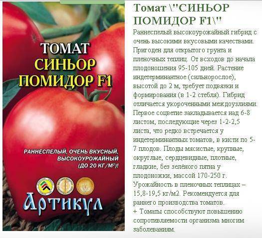 Томат сибирский изобильный: характеристика и описание сорта, урожайность с фото