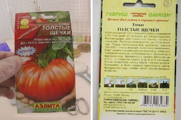 Томат толстушка: описание сорта, отзывы (7), фото | tomatland.ru