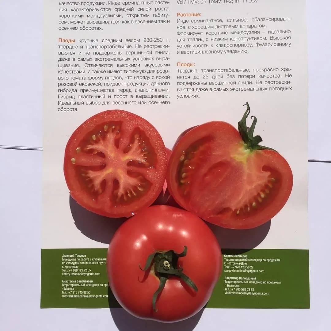 Томат алези: характеристика и описание сорта, его урожайность с фото