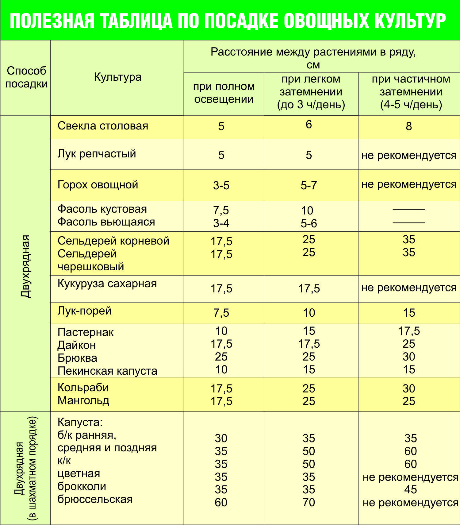 Схема посадки овощей