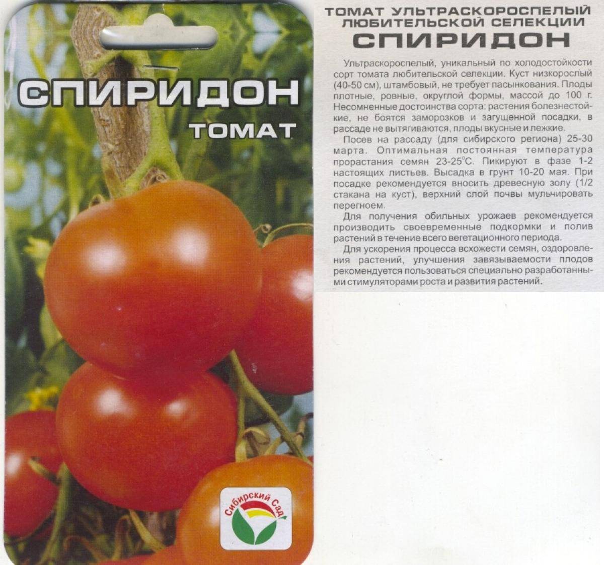 Томат кемеровец: характеристика и описание сорта, урожайность и выращивание с фото