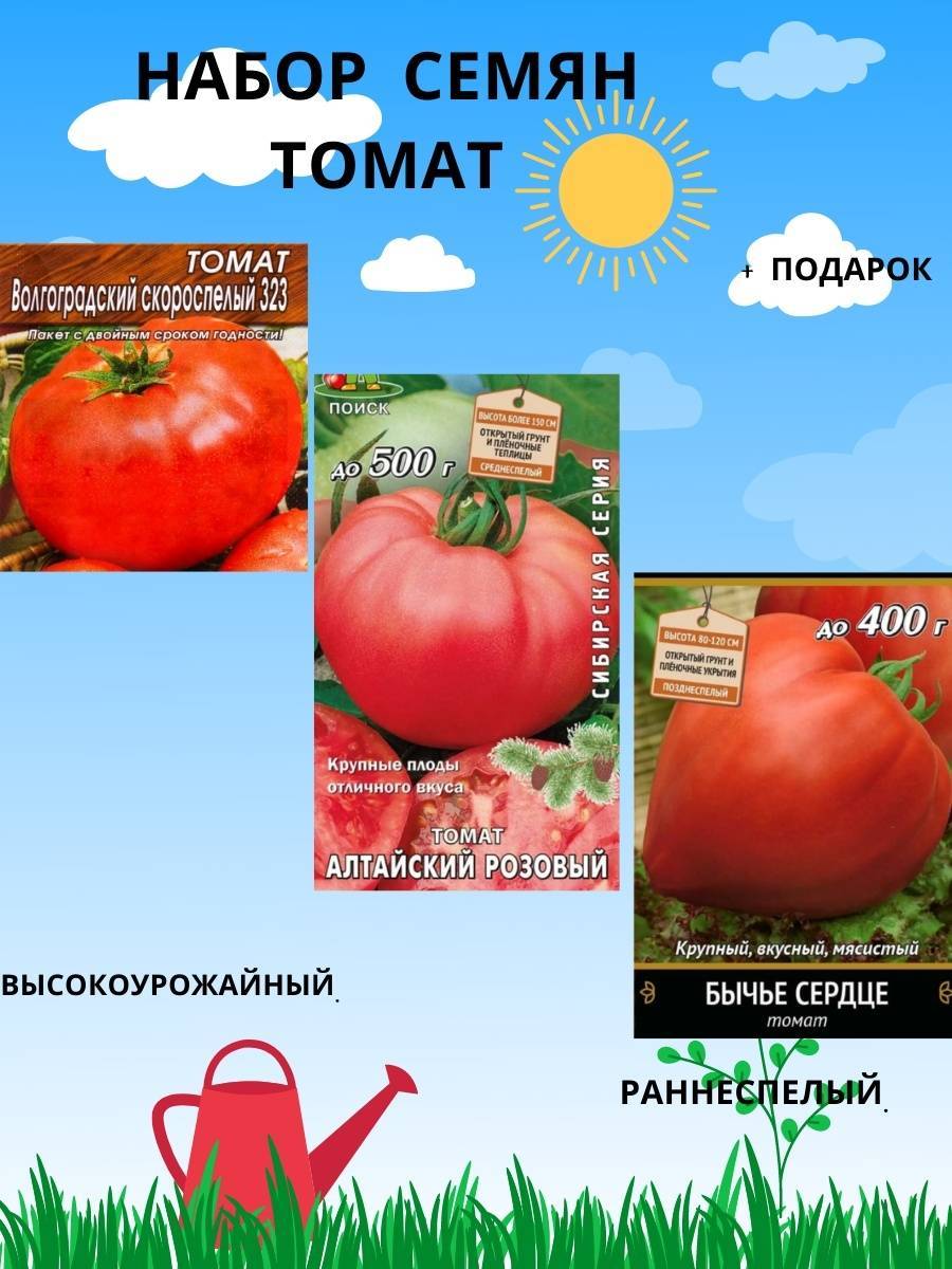 Томат царское искушение f1: характеристика и описание сорта, отзывы об урожайности помидоров, видео и фото семян от фирмы партнер 10шт
