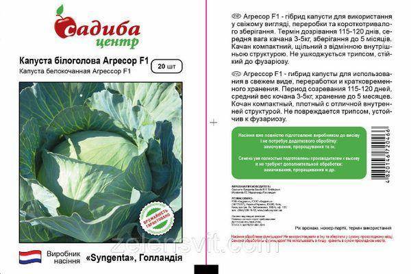 Капуста глория f1: описание гибрида, характеристика и фото сорта, отзывы об урожайности и вкусовых качествах