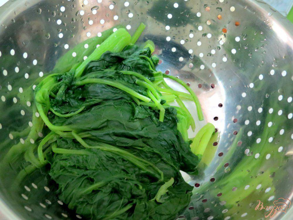 Заготовка шпината на зиму: заморозка и другие рецепты приготовления в домашних условиях