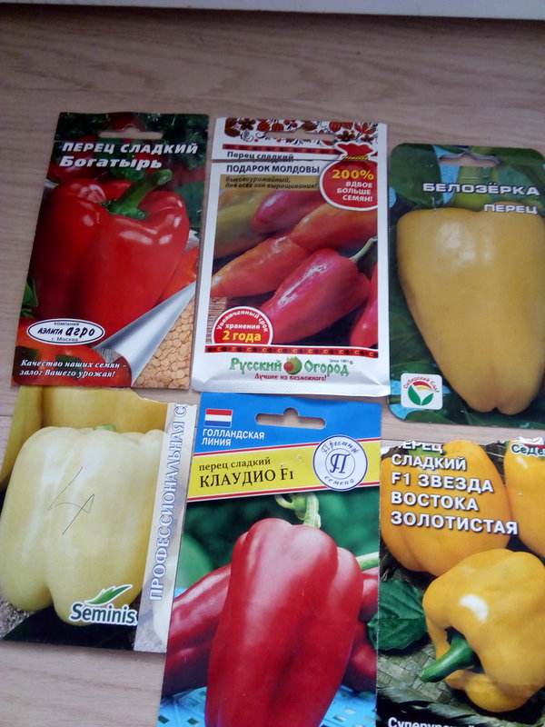 Описание сладкого перца Подарок Молдовы и выращивание рассадным способом