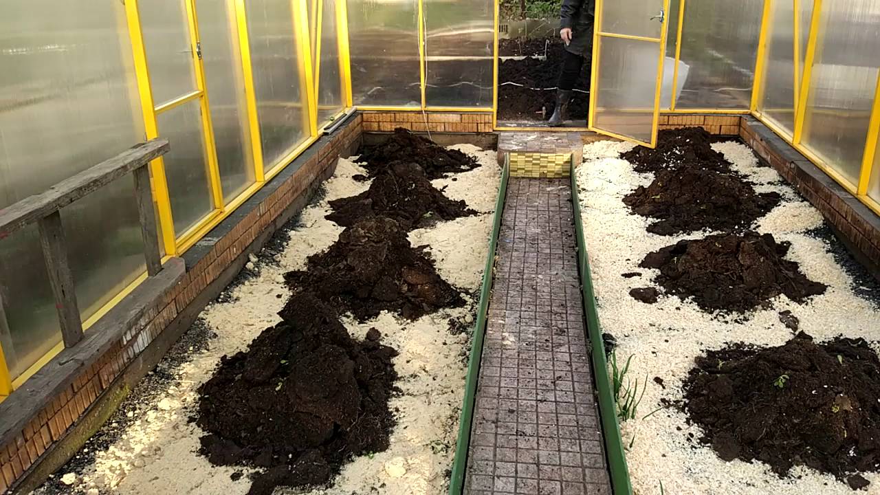 Подготовка почвы в теплице для посадки огурцов весной: какой грунт любят огурцы, обработка земли