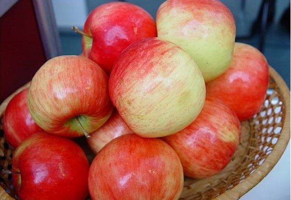 Сорт яблони беркутовское: описание, посадка, отзывы