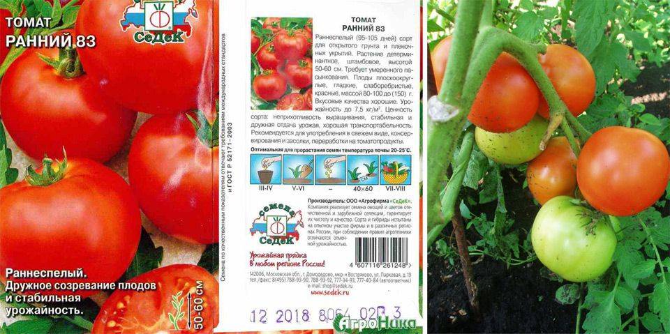 Подскажите лучший сорт ранних томатов / асиенда.ру