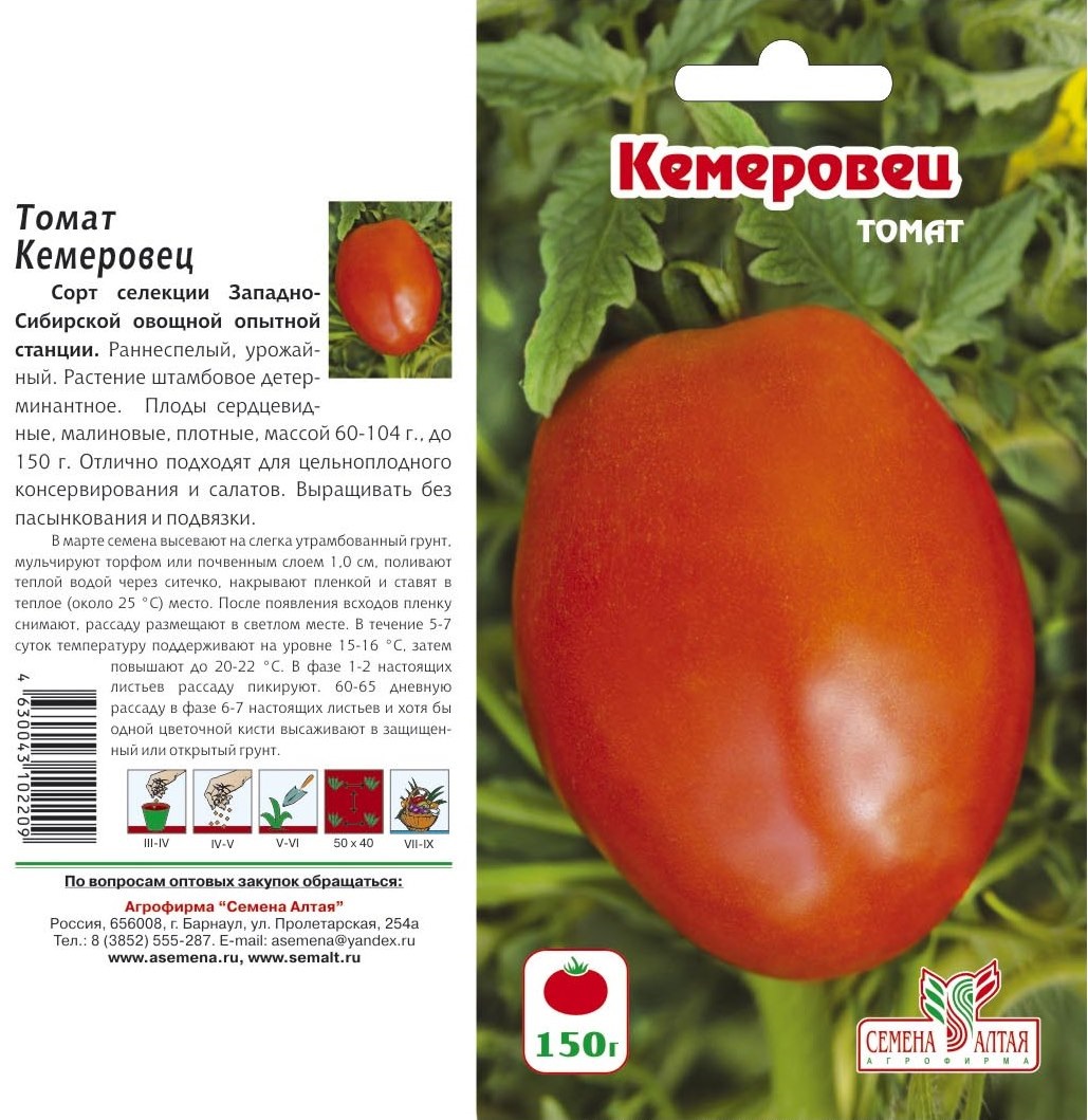 Описание, характеристика, посев на рассаду, подкормка, урожайность, фото, видео и самые распространенные болезни томатов сорта «кибиц».
