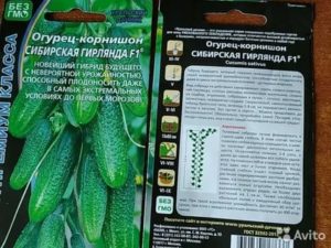 Огурцы сибирская гирлянда f1: как правильно выращивать в теплице, описание сорта с фото + отзывы