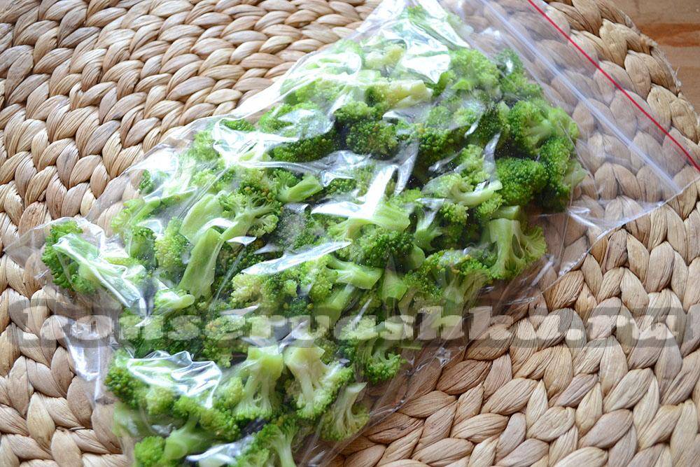 Как заморозить брокколи на зиму и хранить в холодильнике заготовку капусты