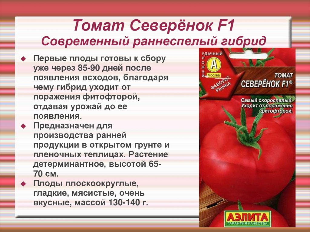 Томат эрмитаж: характеристика и описание сорта, отзывы тех кто выращивал помидоры об их урожайности