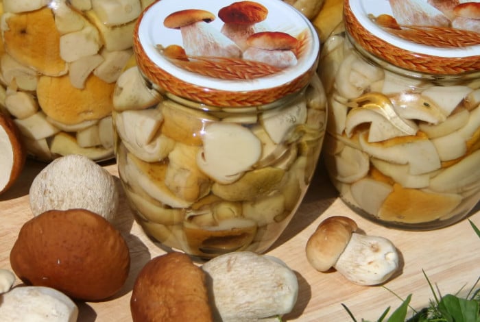 Простые рецепты засолки белых грибов в домашних условиях горячим и холодным способом на зиму