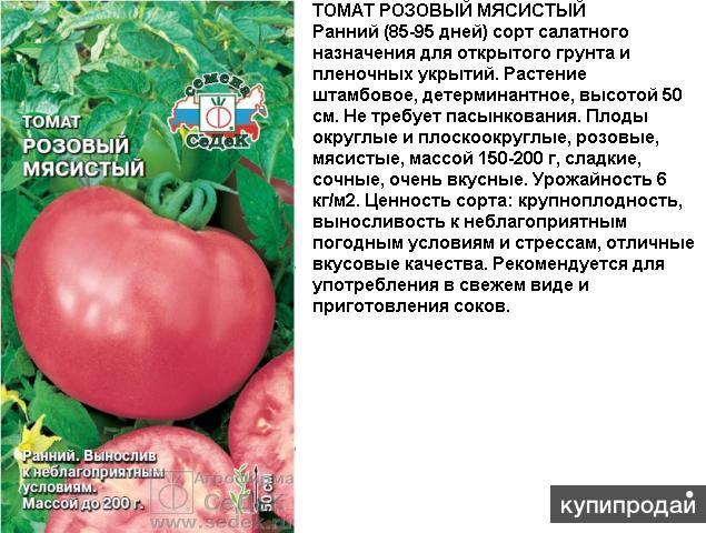 Томат красавец мясистый: отзывы об урожайности помидоров, характеристика и описание сорта, фото семян седек
