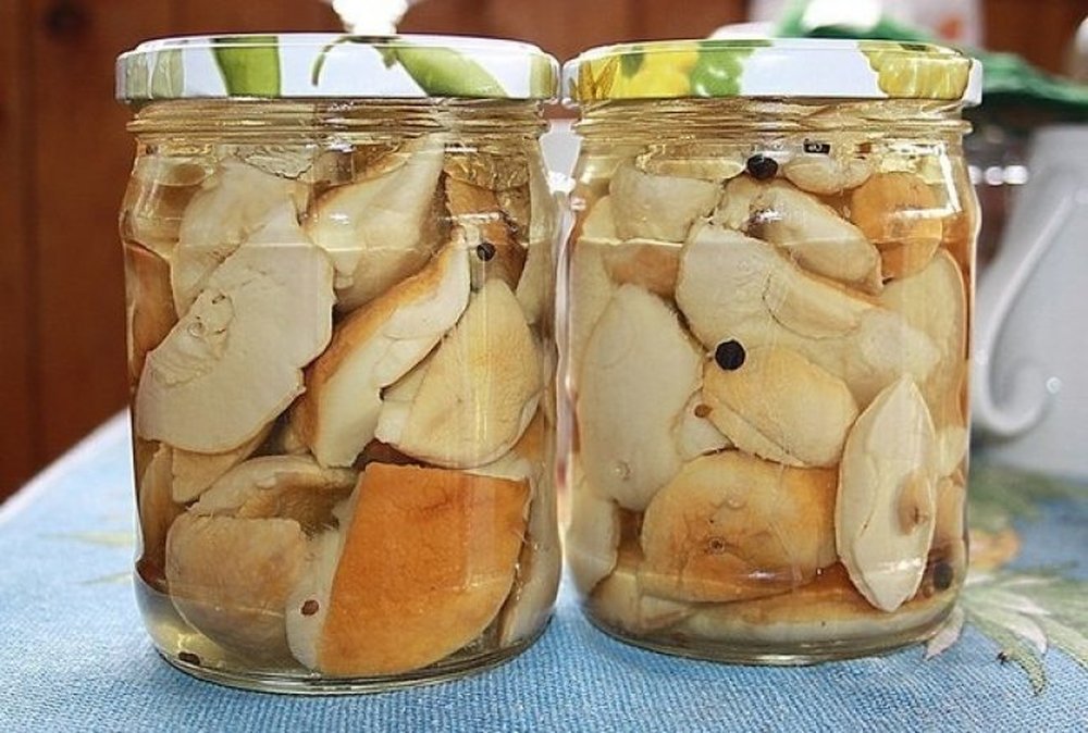 Как солить грибы в банках на зиму в домашних условиях - пошаговые рецепты с фото для засолки белых грибов, опят, груздей, рыжиков, волнушек, вешенок, шампиньонов
