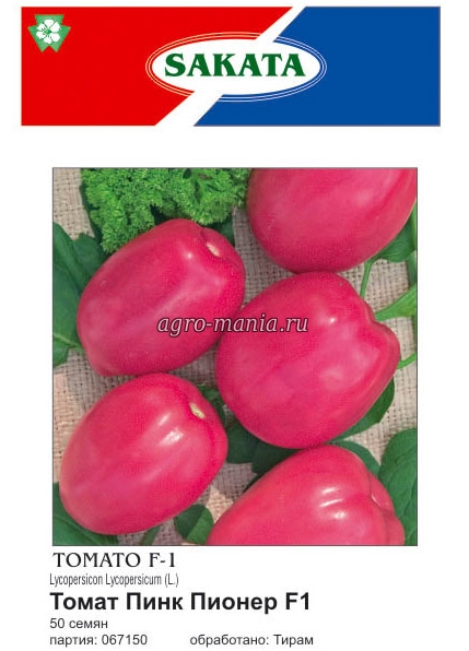 Розовые плоды с замечательным вкусом — томат буш пинк f1: описание сорта и его характеристики