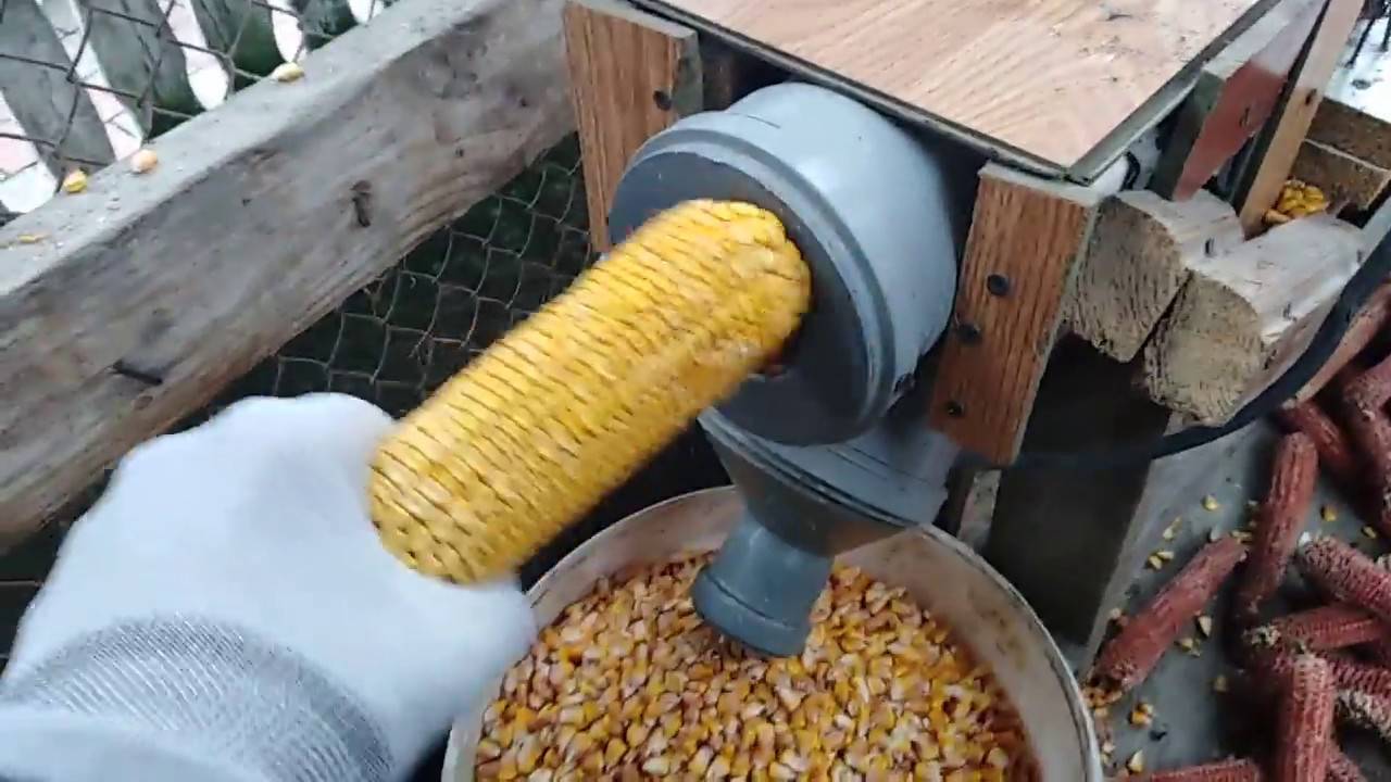 Лущилка кукурузы: описание, принцип работы, как сделать своими руками