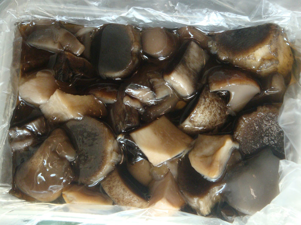 Можно ли замораживать грибы в морозилке (сырыми, жареными)