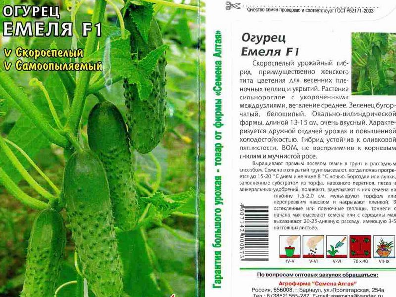 Огурцы лютояр f1: отзывы, фото, урожайность, характеристики, выращивание