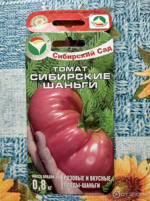 Томат сибирские шаньги: характеристика, описание сорта, отзывы, фото, урожайность