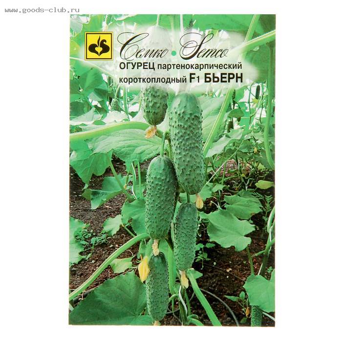 Огурец беттина f1 отзывы, описание и характеристики, урожайность, фото