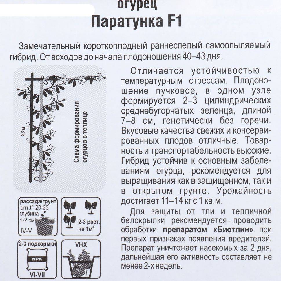 Описание сорта огурцов Паратунка F1, особенности выращивания и урожайность