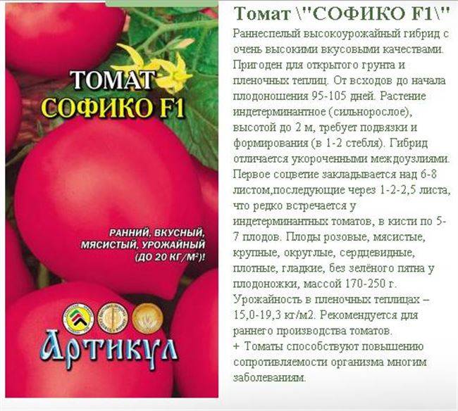Описание двух вариантов гибридных сортов томата «марисса»