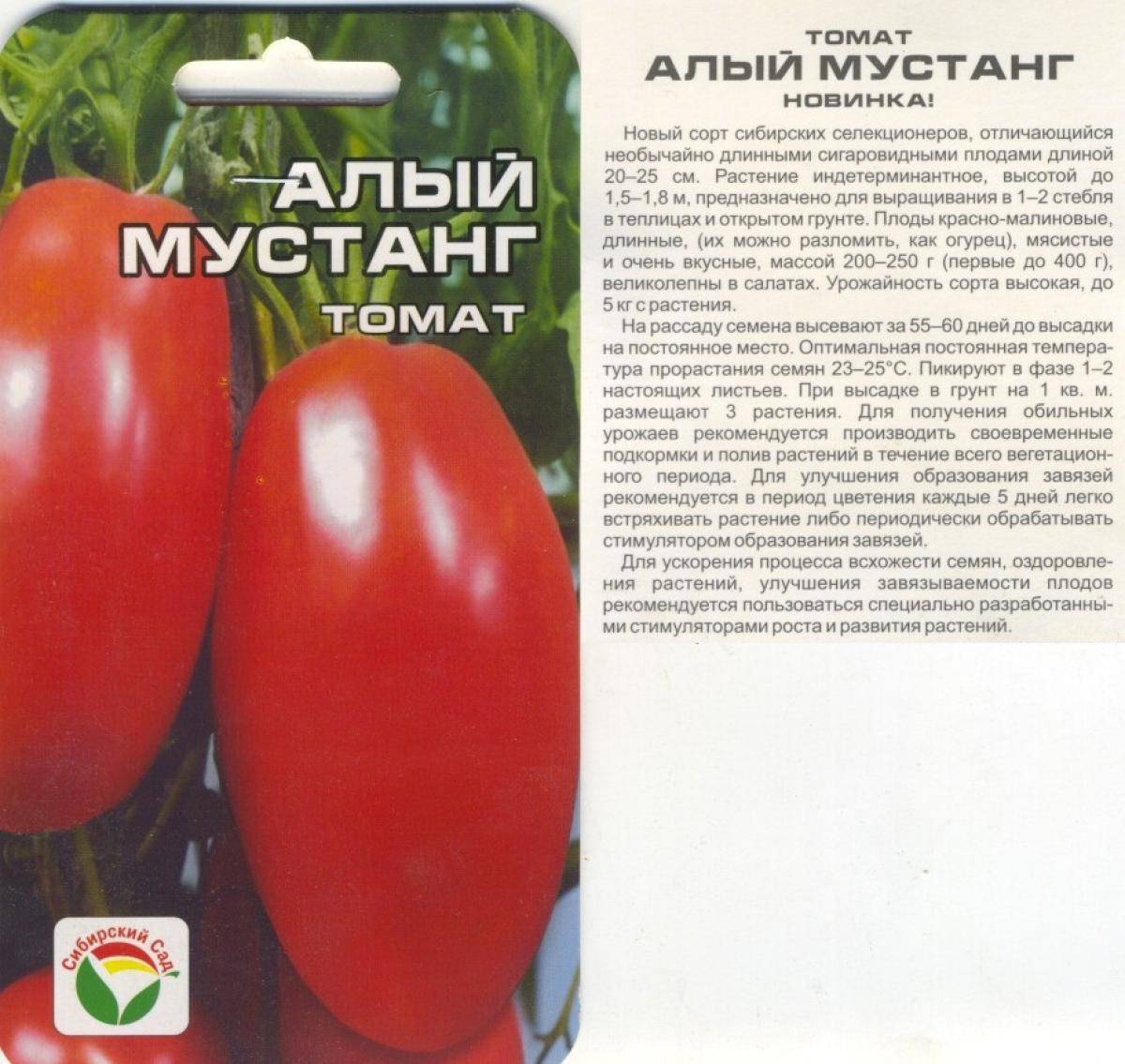 Томат алый мустанг: характеристика и описание высокоурожайного сорта с фото