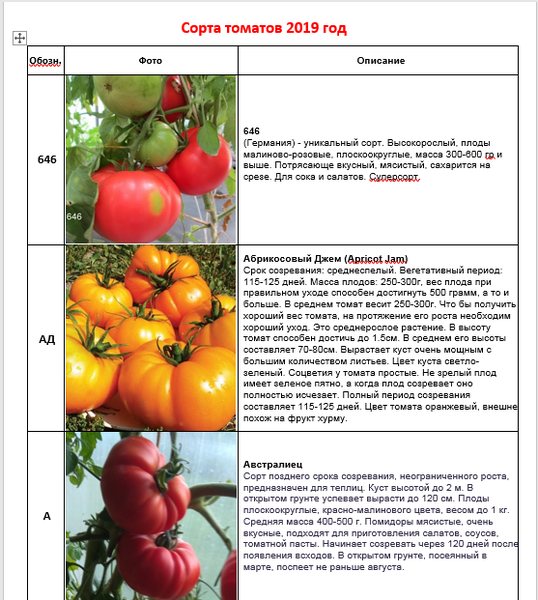 Томат желтый шар: описание и характеристика сорта, отзывы садоводов с фото
