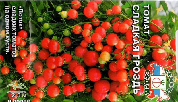 Описание сорта томат чудо гроздь f1 и его характеристики