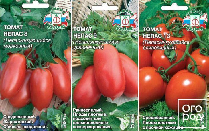 Томаты “непас” – особенности и преимущества непасынкующихся помидоров и тонкости их выращивания