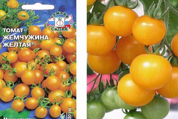 Томат садовая жемчужина: описание сорта, отзывы (5), фото, урожайность | tomatland.ru