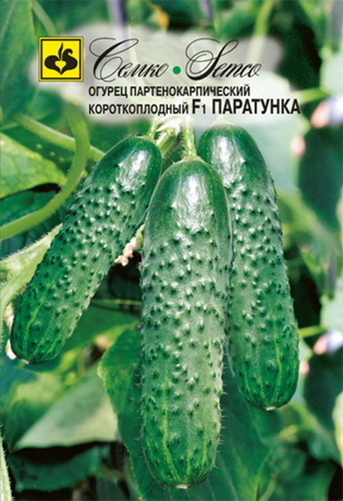 Огурцы паратунка: описание сорта, отзывы о нем, рекомендации по посадке и уходу, фото урожая