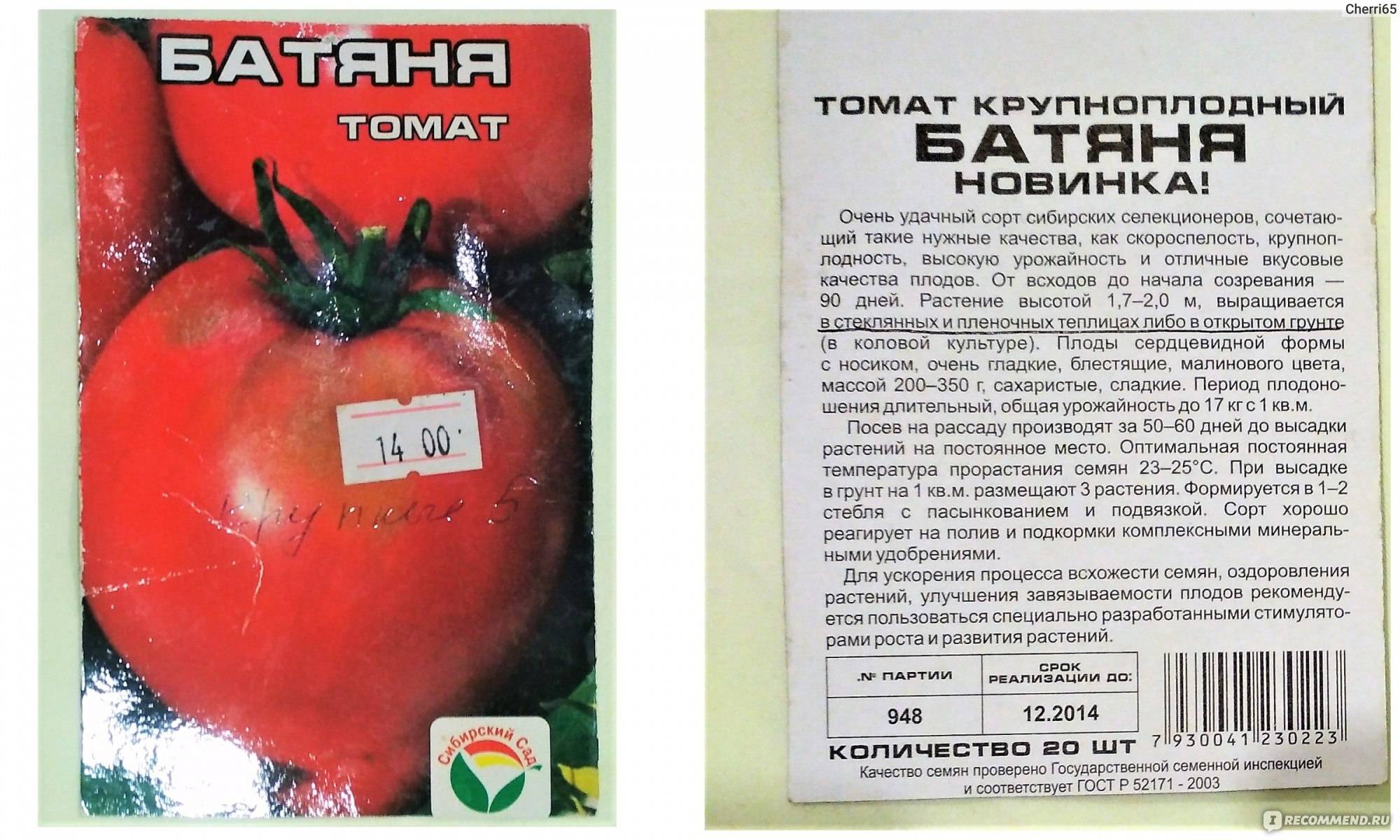 Томат батяня: отзывы с фото, характеристика и описание сорта помидоров, секреты повышения урожайности