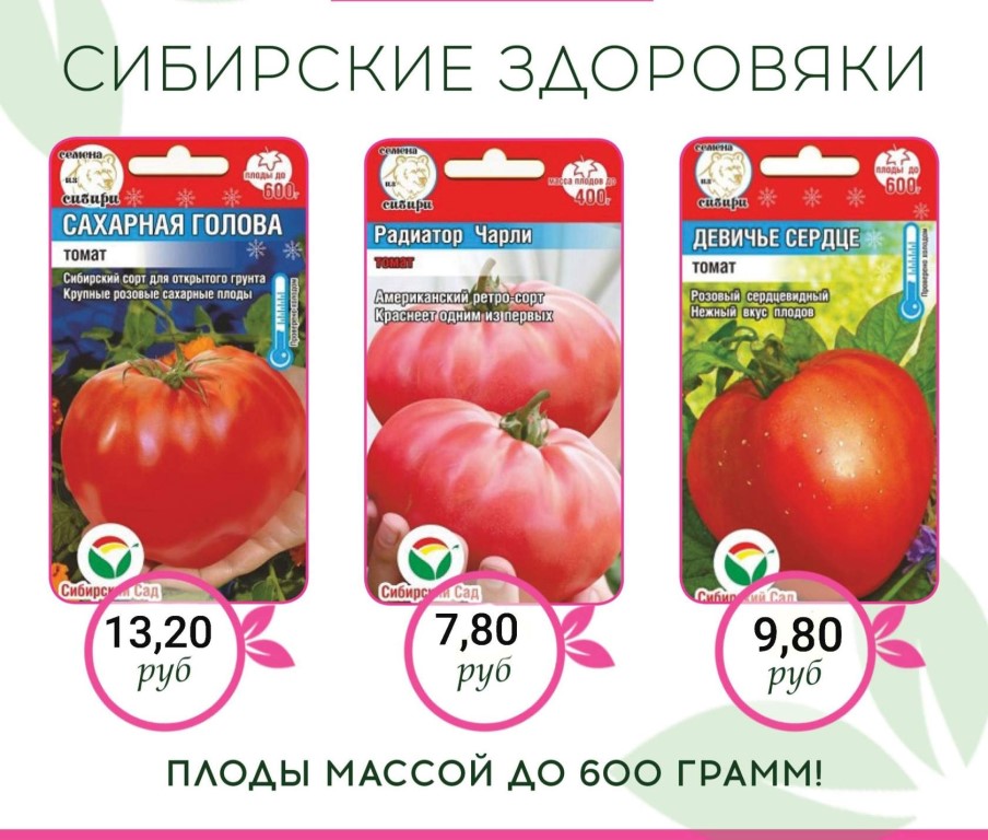 Новые сорта томатов на 2021 год - выбираем лучшее!