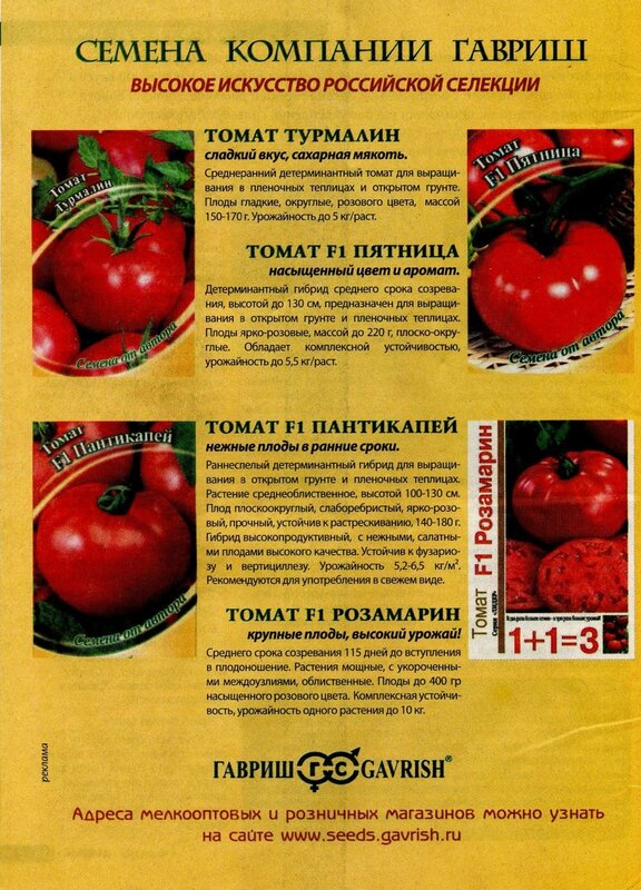 Томат "машенька": описание и характеристики сорта, рекомендации по уходу и выращиванию этих неприхотливых помидор, фото пловод русский фермер