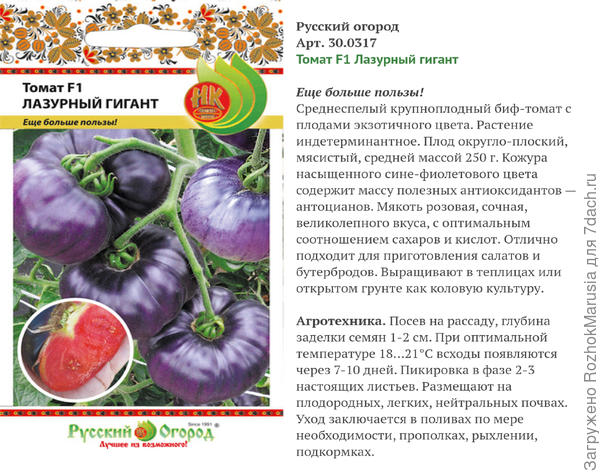 Выращиваем томат исполин на своем участке: секреты посадки и советы по уходу