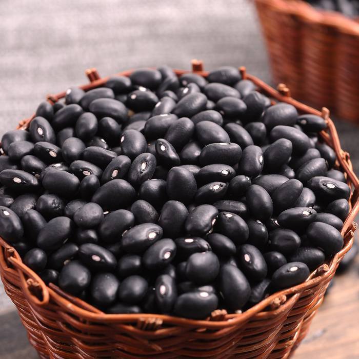 Черная фасоль: полезные свойства, калорийность, секреты приготовления :: syl.ru