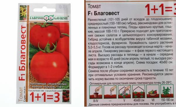 Томат благовест: отзывы (30), фото, урожайность, описание и характеристика | tomatland.ru