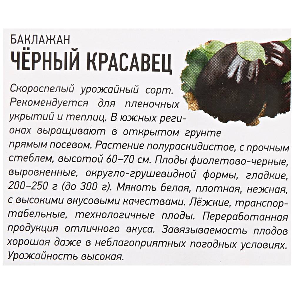 Баклажан черный красавец: характеристика и описание сорта, посадка и уход с фото