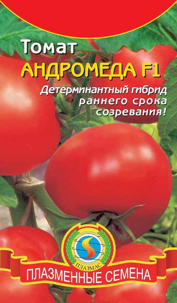 Томат «андромеда»: отличные помидоры для открытого грунта, особенности сорта, правила посадки и ухода