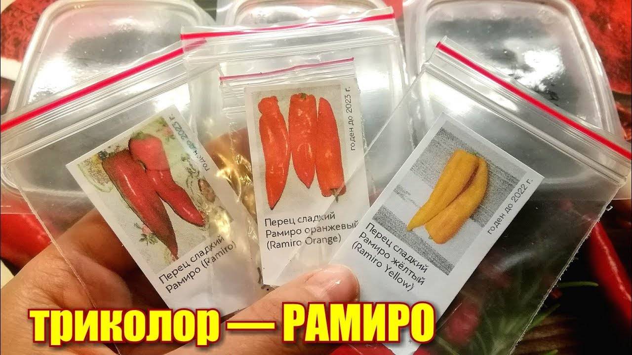 Перец рамиро: характеристика и описание сорта, урожайность